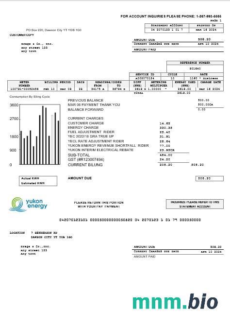 Canada Yukon Energy rachunek za usługi komunalne szablon w formacie Word i PDF